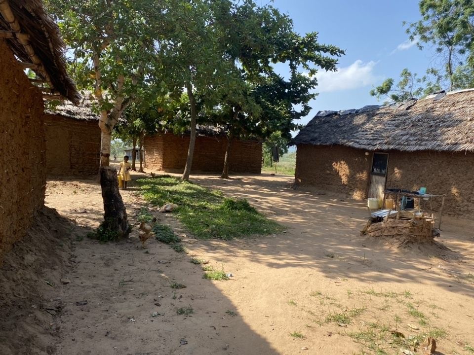 couple of huts in the village
